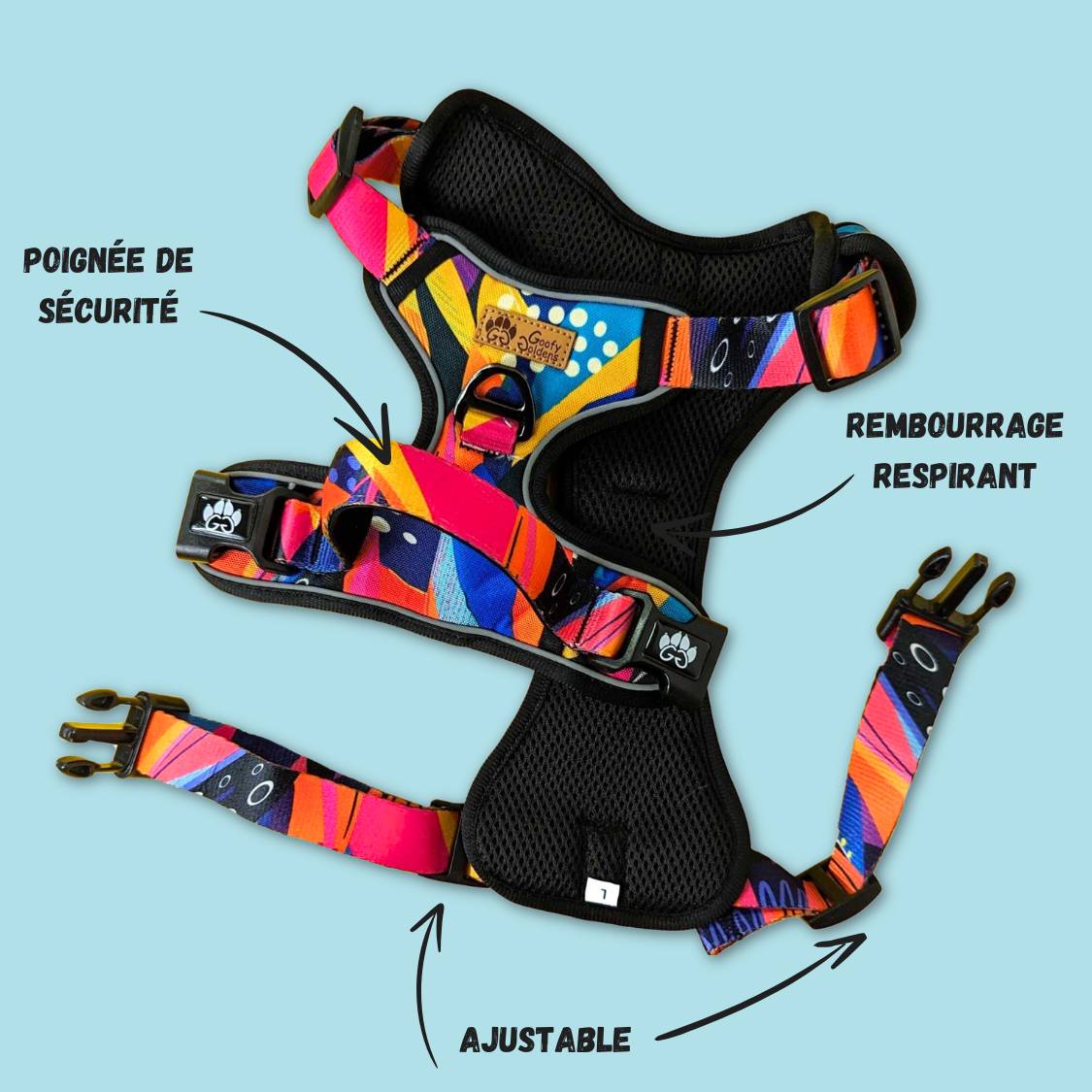 Kit balade harnais Y Confort Panache
