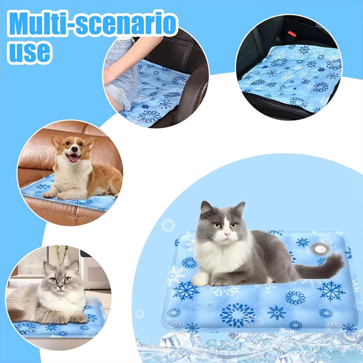 S0056527303ed427e90f585554e8ec6adf